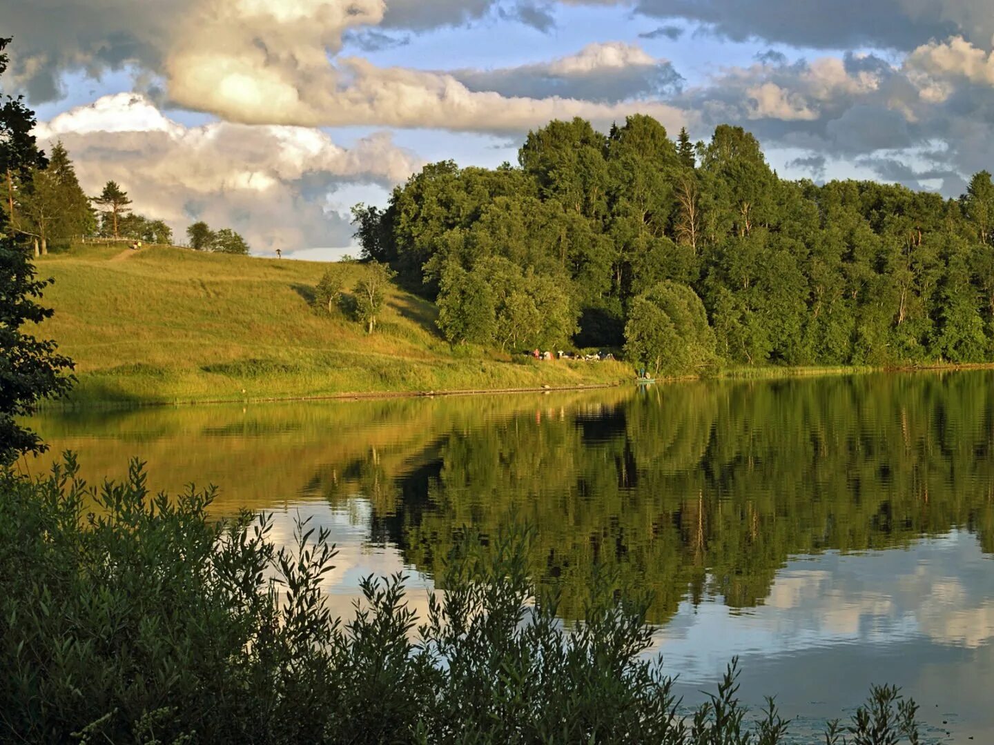 Перепишите текст природа средней полосы