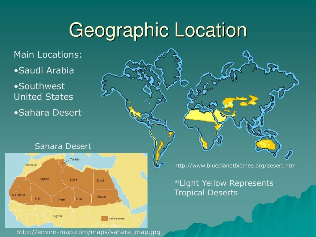 Main location. Geographical location. geographic location перевод. geographic or geographical разница. tropical biomes located map.