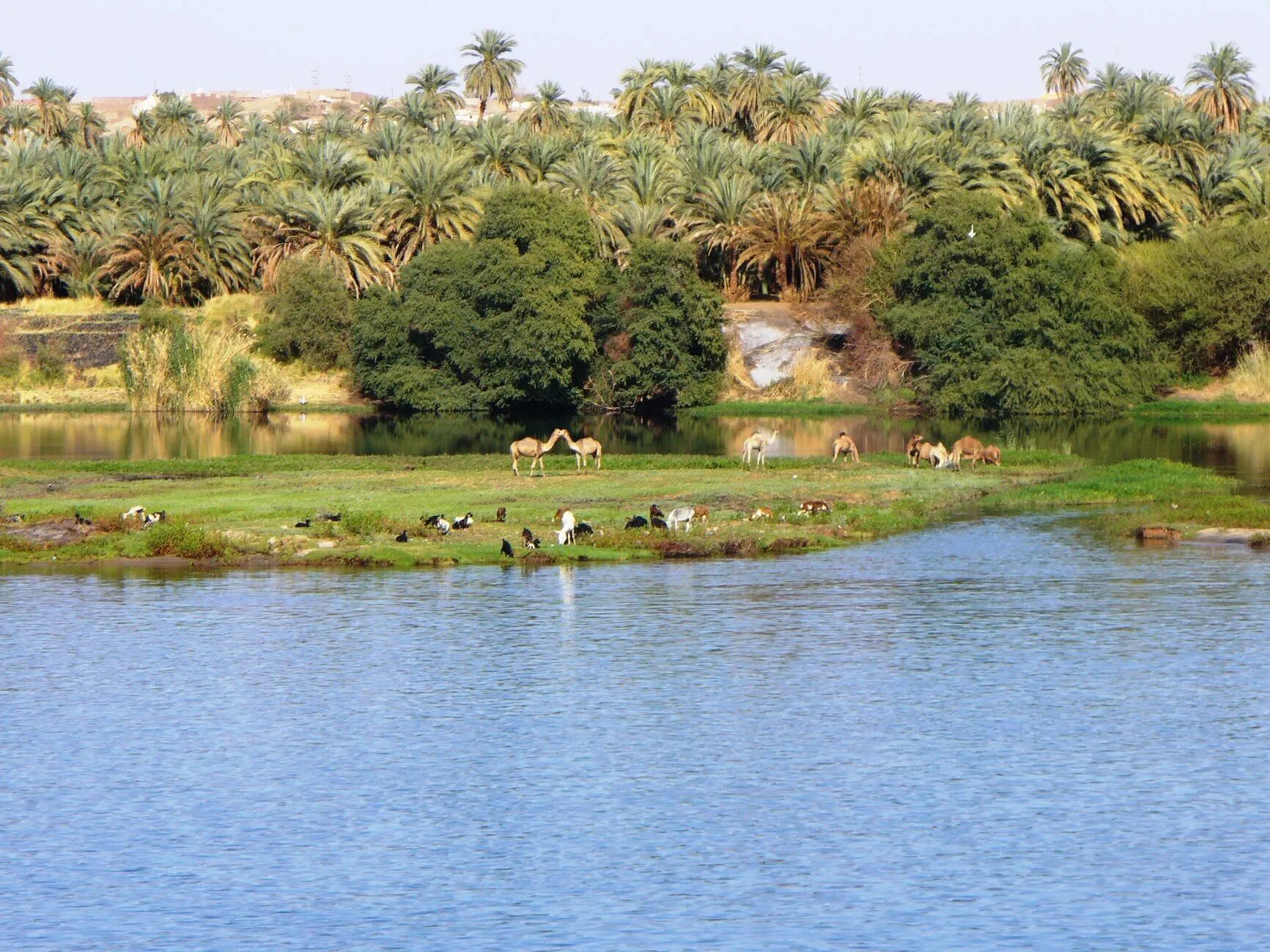 The river nile into the. The river nile into the