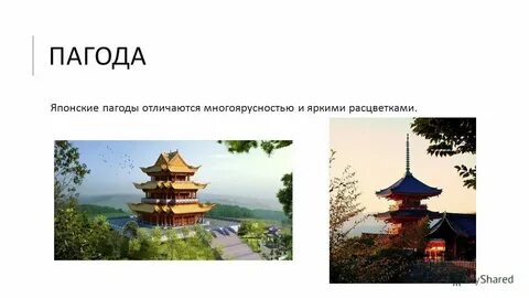 Различие японии и китая в 19 веке