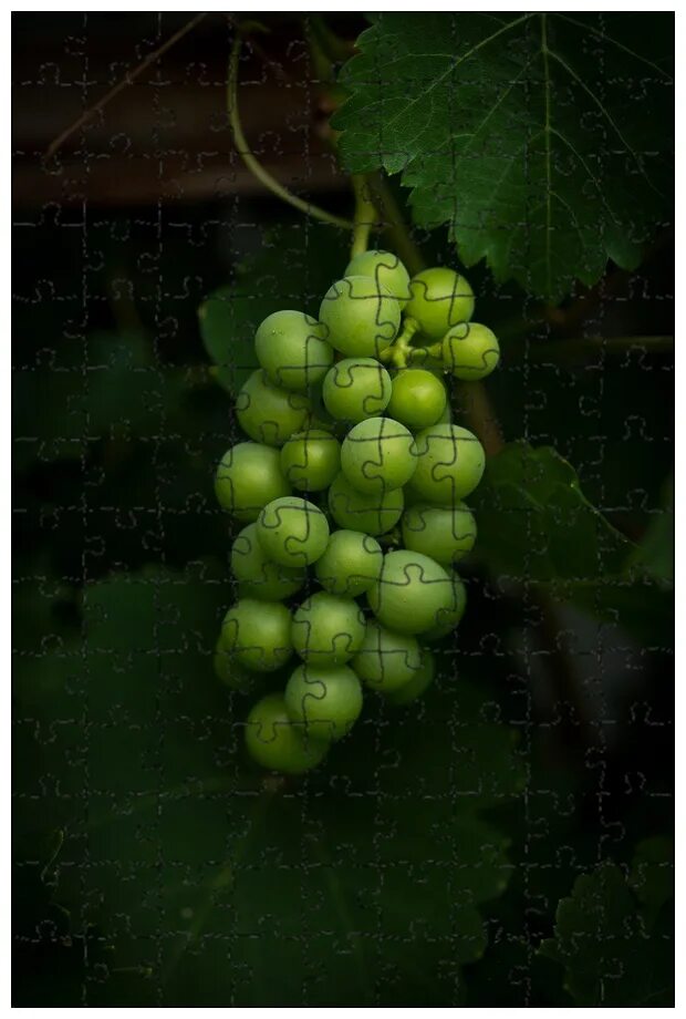 Pin by Aimee Christopherson on Fresh Greens II Garden plant pots, Green grapes,