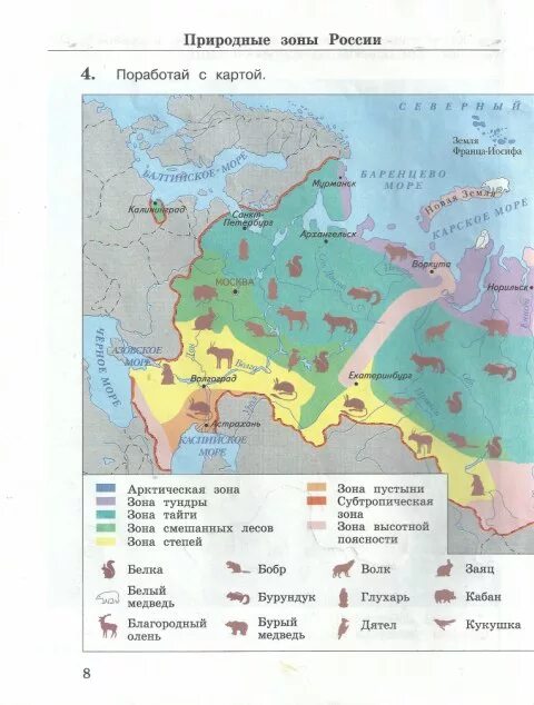 Природные зоны россии окружающий мир учебник. Окружающий мир 4 класс рабочая тетрадь 2 часть Виноградова. Природные зоны 4 класс окружающий мир Виноградова. Природные зоны России 4 класс окружающий мир рабочая тетрадь. Рабочая тетрадь природные зоны.