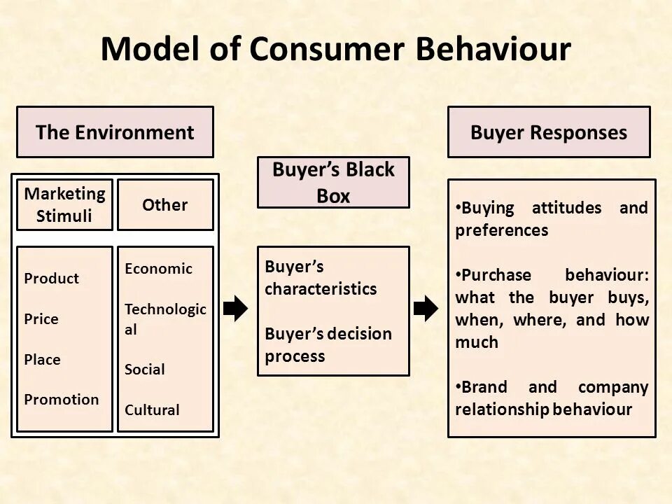 Model of Consumer behaviour. Consumer buying behaviour. Consumer buyer Behavior. What is Consumer. Model behaviour