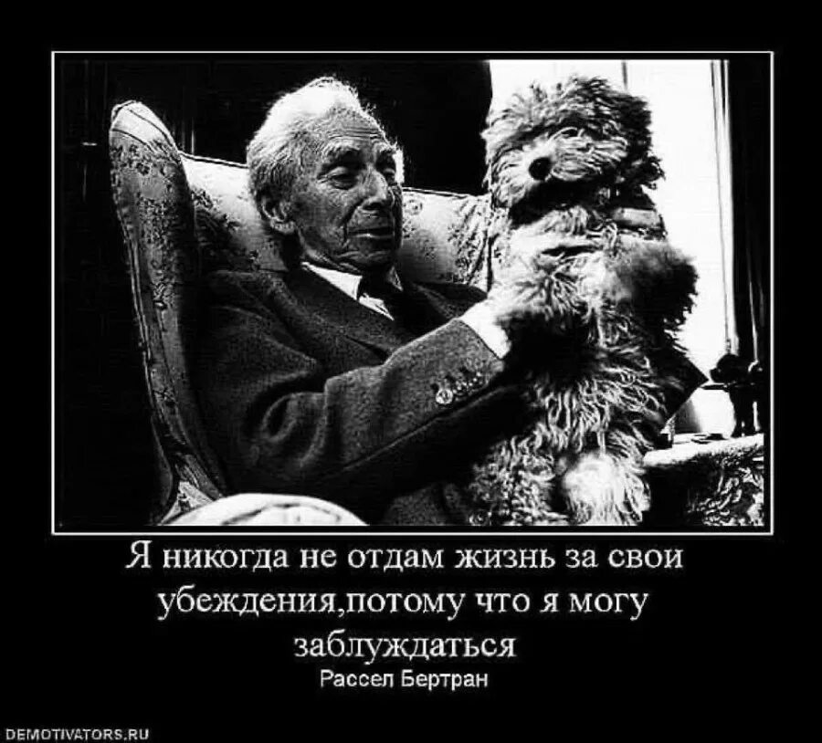 Цитаты про убеждения. Убеждение демотиватор. Убеждение прикол. Юмор про убеждения. Лично за тебя жизнь свою готов отдать