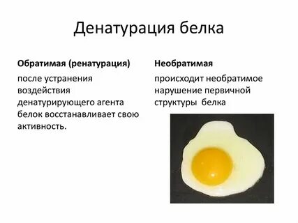 Обратимая денатурация