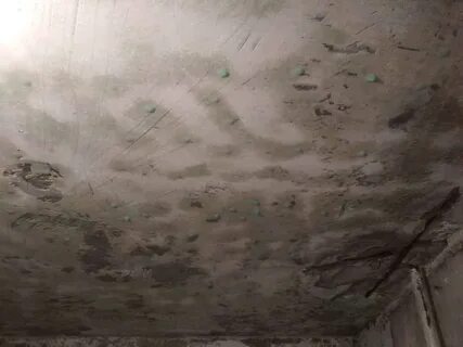 Грибок в гараже: рассмотрим как избавиться