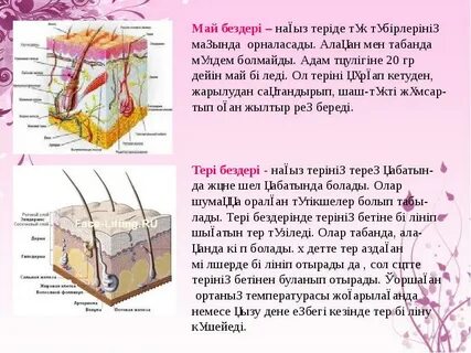 Телефоныңызға қыздардың эротикалық суреттері