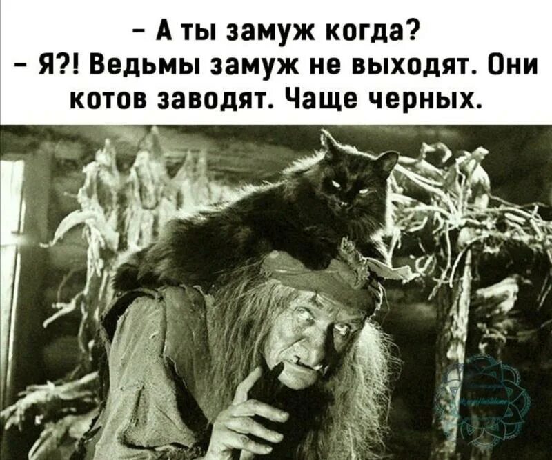 А ты замуж когда я ведьмы. Необычные домашние животные. Дико заводишь. Прикольные шестерки. Дико заводишь.