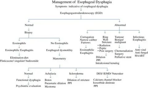 Dysphagia латынь