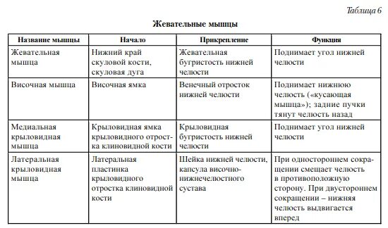 Мышцы головы начало прикрепление функции. Мышцы головы начало прикрепление функции таблица.