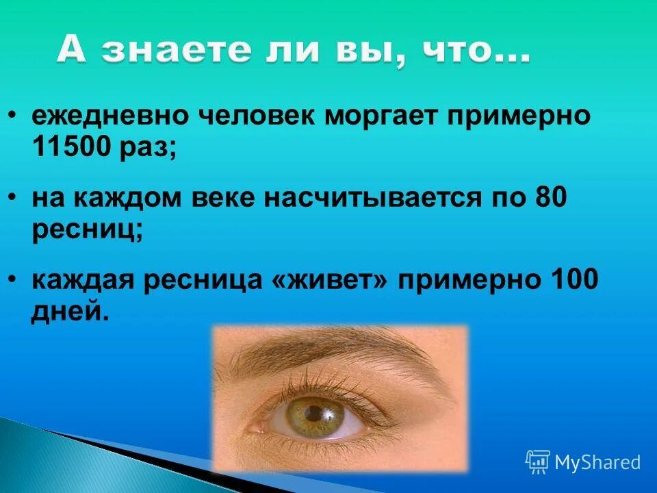 Сколько человек моргает в день. Сколько рас в Бень человек мороает. Сколько раз человек моргает в день. Сколько человек за сутки моргает.