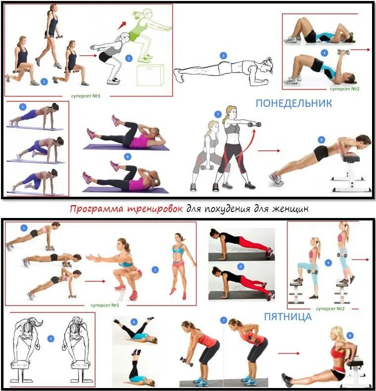 Программа похудения в зале для девушек. Схема тренировки в тренажерном зале для женщин для похудения. Круговая тренировка упражнения для девушек в тренажерном зале. План круговой тренировки в тренажерном зале для женщин для похудения. Круговая тренировка для начинающих в тренажерном зале для женщин.