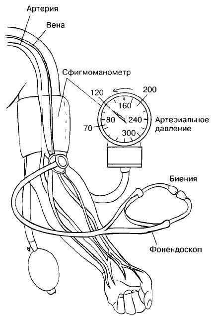 Измерение артериального давления механическим тонометром. Измерение давления тонометром схема. Из чего состоит тонометр для измерения давления механический. Строение тонометра механического.