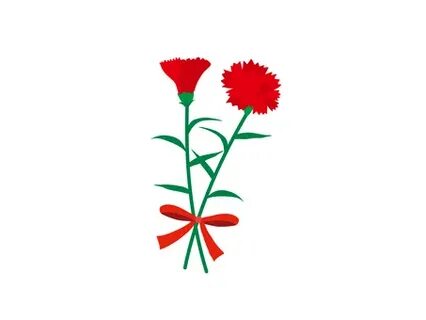 Гвоздики рисунок на 23 февраля