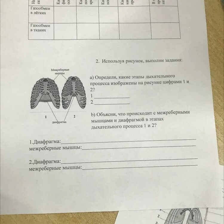 Используя рисунок выполните задания