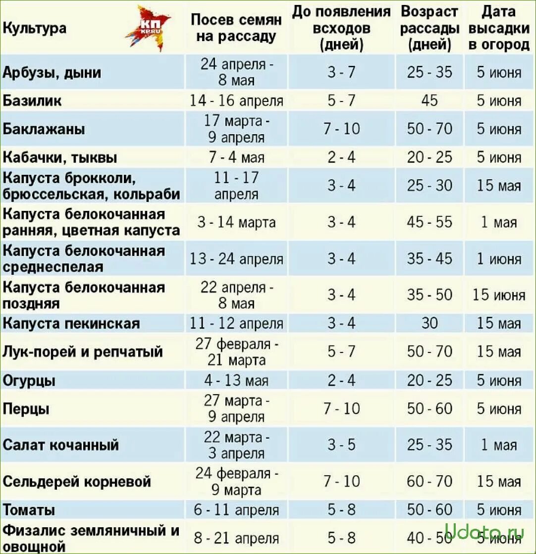 Какие семена надо сажать. Сроки посадки рассады таблица. Таблица посадки семян на рассаду. Таблица сроков посева семян на рассаду. Сроки посева семян на рассаду.