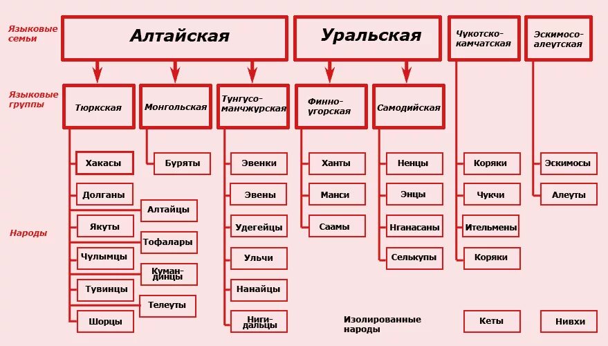 К тюркской группе алтайской семьи относится