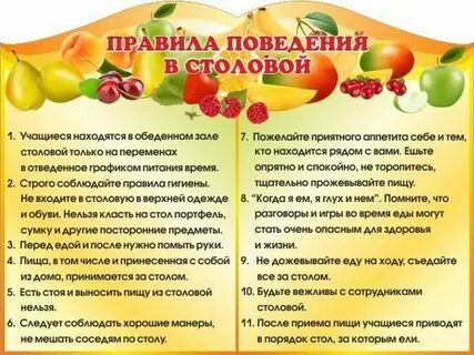 Методические рекомендации по организации питания