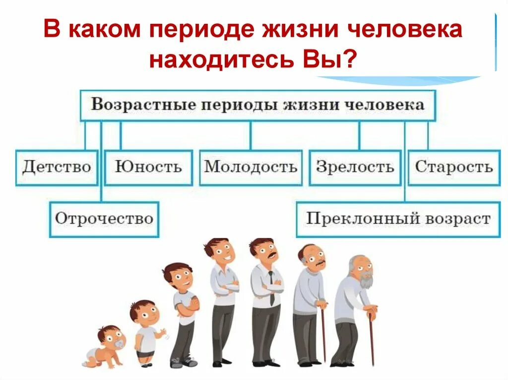 Отрочество это какой возраст. Детство отрочество Юность возрастные периоды. Детство отрочество Юность зрелость старость. Этапы жизни отрочество. Детство отрочество Юность какой Возраст.