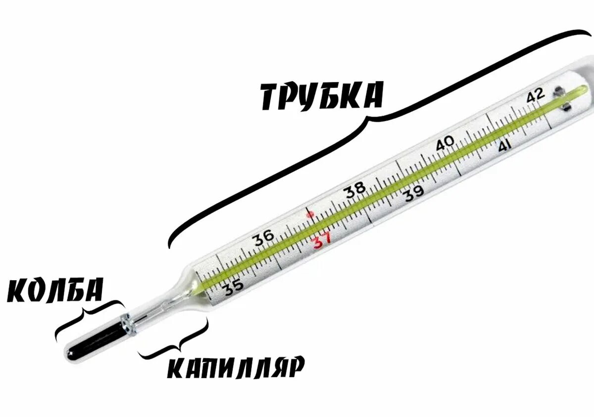 Как устроен ртутный термометр. Как устроен ртутный градусник схема. Строение градусника ртутного медицинского. Из чего состоит ртутный термометр.