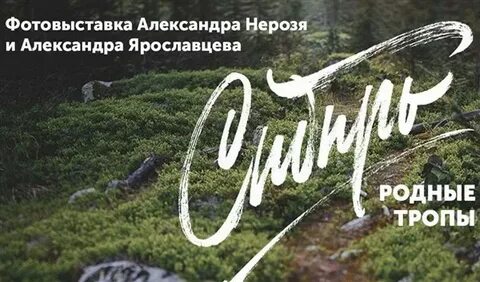 Родственники из сибири