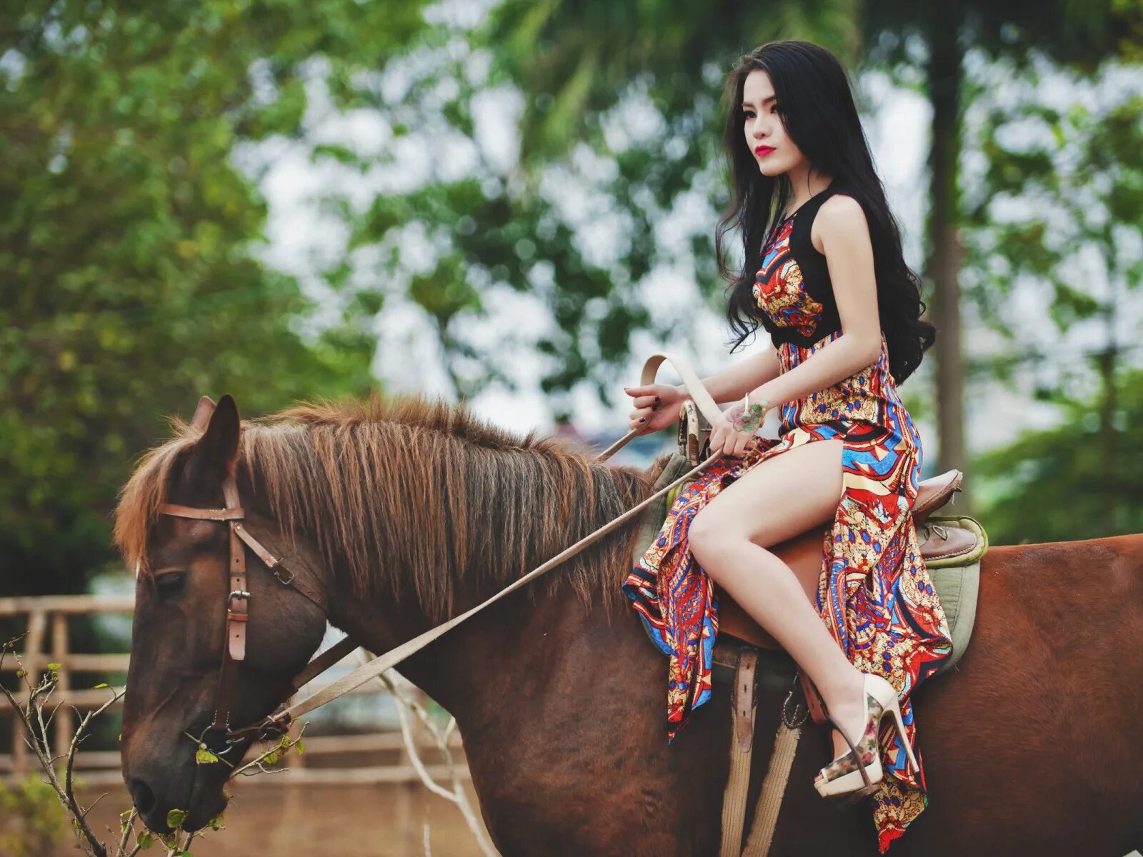 Девушка верхом на лошади. Девушка с лошадью. Женщина на лошади. Horsegirl. Девушка с лошадью.