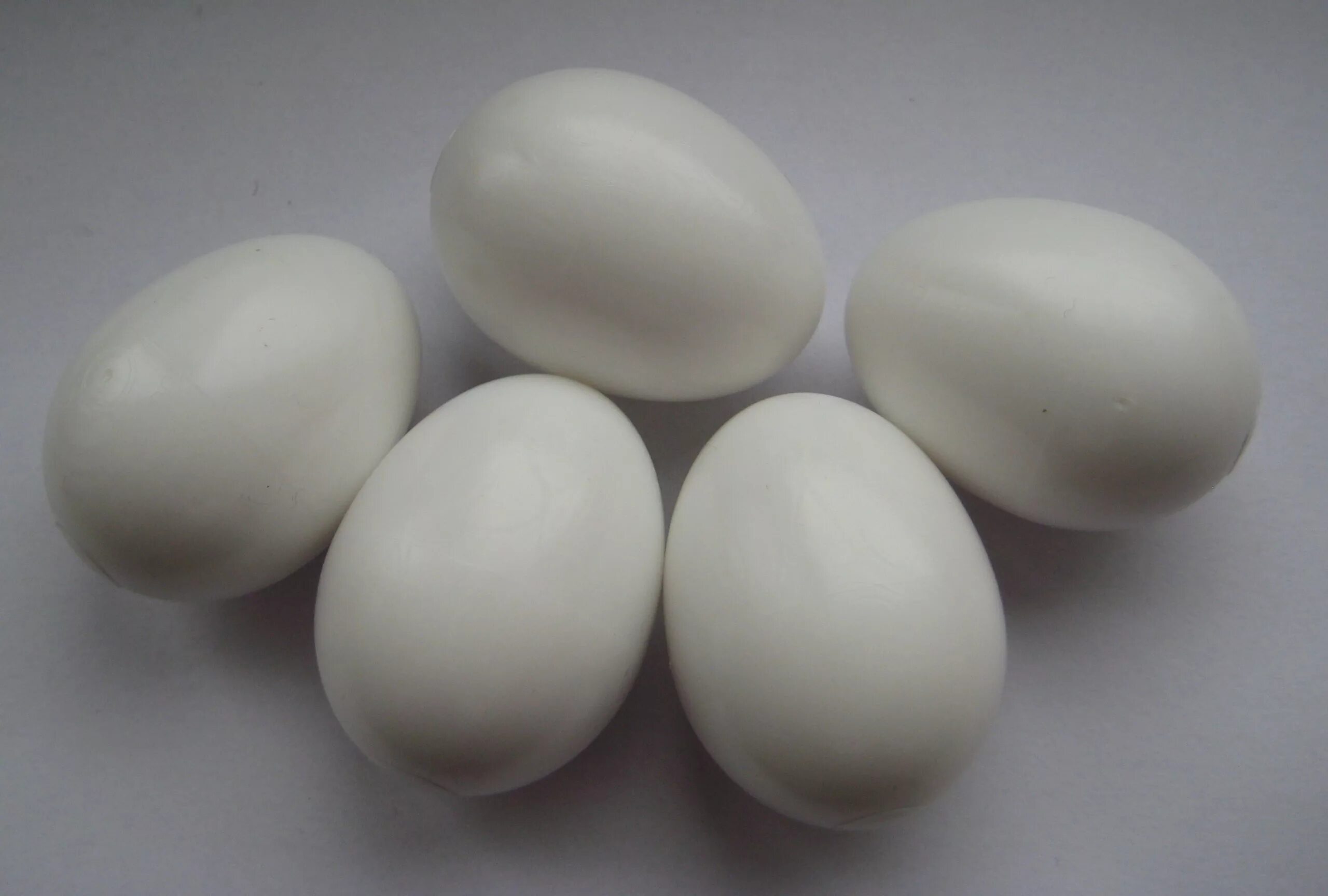 Яйца фазана купить. Искусственные яйца. Синтетические яйца. Искусственные яйца из Китая. Китайская синтетические яйца.