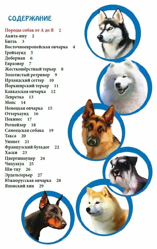 Породы собак Котики и Собачки 
