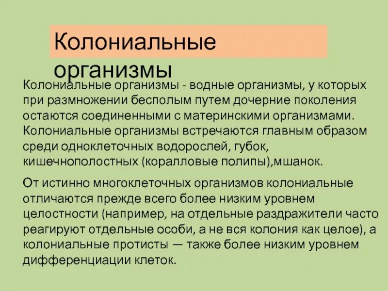 Особенности строения многоклеточных организмов. Особенности строения колониальных организмов. Особенности клеток многоклеточных организмов. Колониальные и многоклеточные организмы.