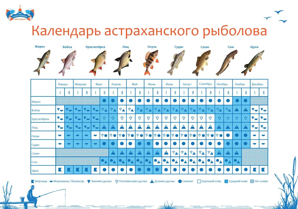 Календарь клева на сегодня. Календарь рыбалки в Астрахани. Календарь рыболова. Таблица рыболова. Календарь клева рыбака.