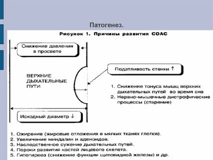 Путь порока