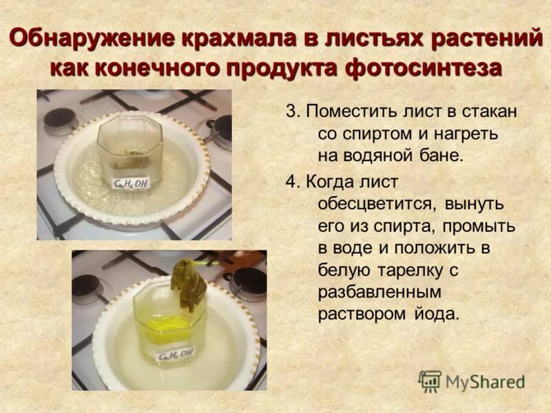 Выявление крахмала в картофеле. Обнаружение крахмала в банках. Исследование продуктов на крахмал. Обнаружение крахмала в вафельном стаканчике. Обнаружение крахмала.