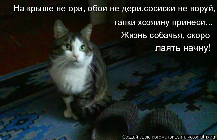 только наличие цели приносит жизни смысл и удовлетворение. оставляйте людей в прошлом. мотиваторы про море. что мне приносит удовольствие список. принеси жизнь.