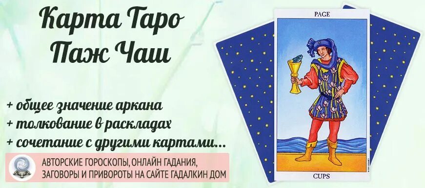 Таро дня паж кубков. Карта Таро паж кубков. Паж кубков карта дня. Значение карт Таро паж чаш. Карта паж кубков.