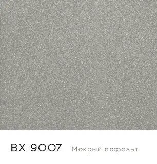 Ral 9007