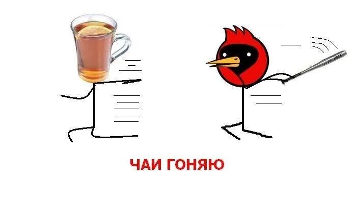 Чаи гонять. Чаи гонять Мем. Омская птица. Мемы про чай.