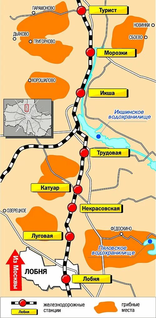 Карта грибов Подмосковья Савеловское направление. Грибные места в Подмосковье Горьковское направление. Грибные места в Подмосковье Дмитровское направление. Карта грибных мест белорусское направление. Электричка икша дмитров сегодня