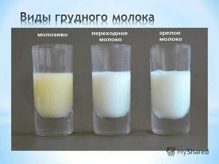Что такое молозиво у мужчин