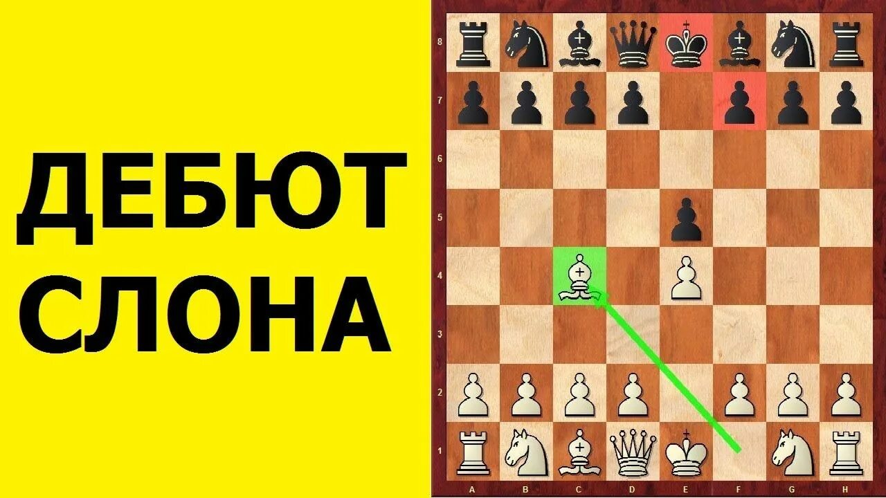 Дебют слона. Дебюты в шахматах для начинающих. дебют d4-d5. шахматы дебют слона. гамбит слона шахматы.