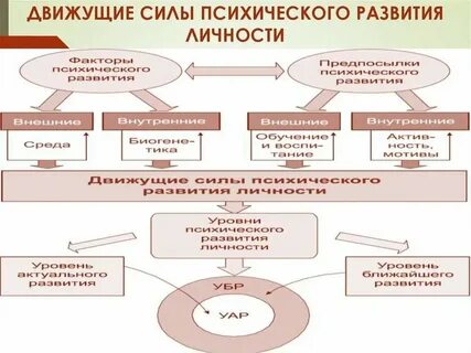 Общее развитие личности это