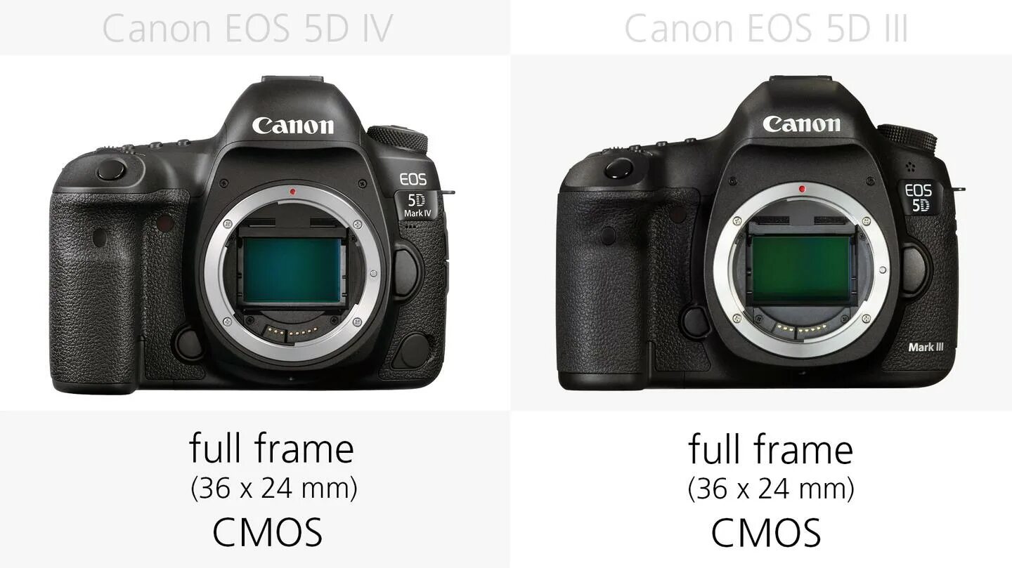 Canon mark сравнение. Canon 5d Mark 4. Canon EOS 5d Mark IV коробка. Canon Mark 5s.