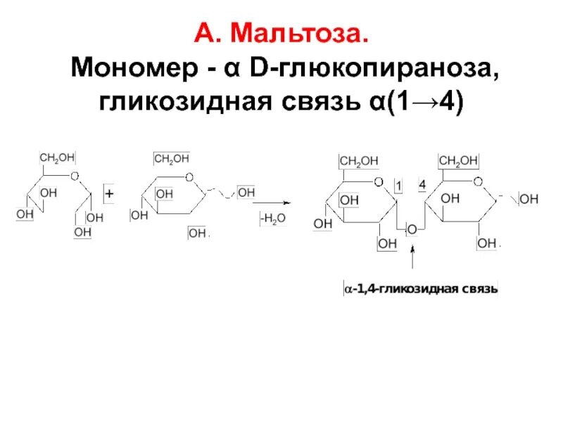 Связь 4 гликозидная. Мальтоза гликозидные связи. Мальтоза Тип гликозидной связи. 1,4 Α-гликозидная связь. Д глюкопираноза образование гликозидной связи 1 4.