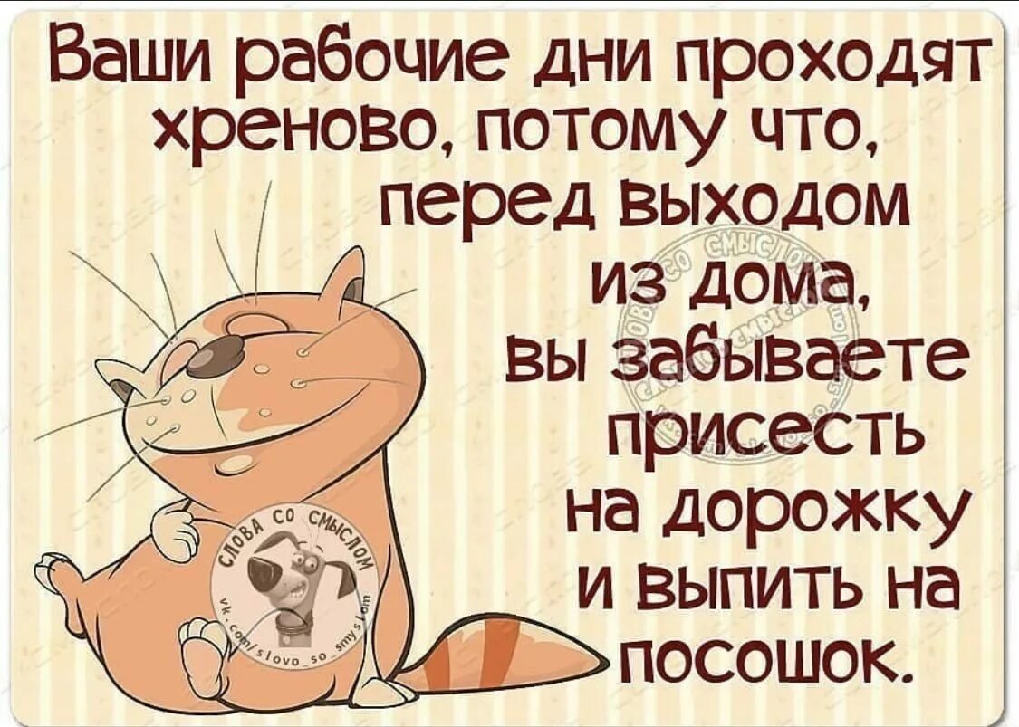Доброе утро понедельника прикольные. Лошадь председателем так и не стала. Синий кот с надписями. Правильной недели. Понедельник веселые картинки.