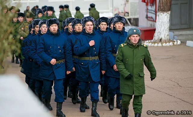 Комиссариат улан удэ. Военкомат Улан-Удэ. Призывной Улан Удэ. Сборный пункт военного комиссариата Улан-Удэ. День призывника Улан-Удэ.