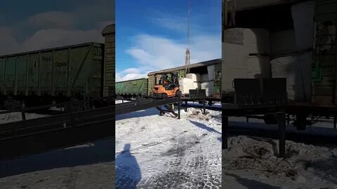 Салым 93 и компания