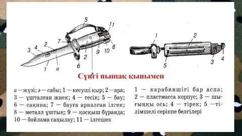 Бау сызбасы