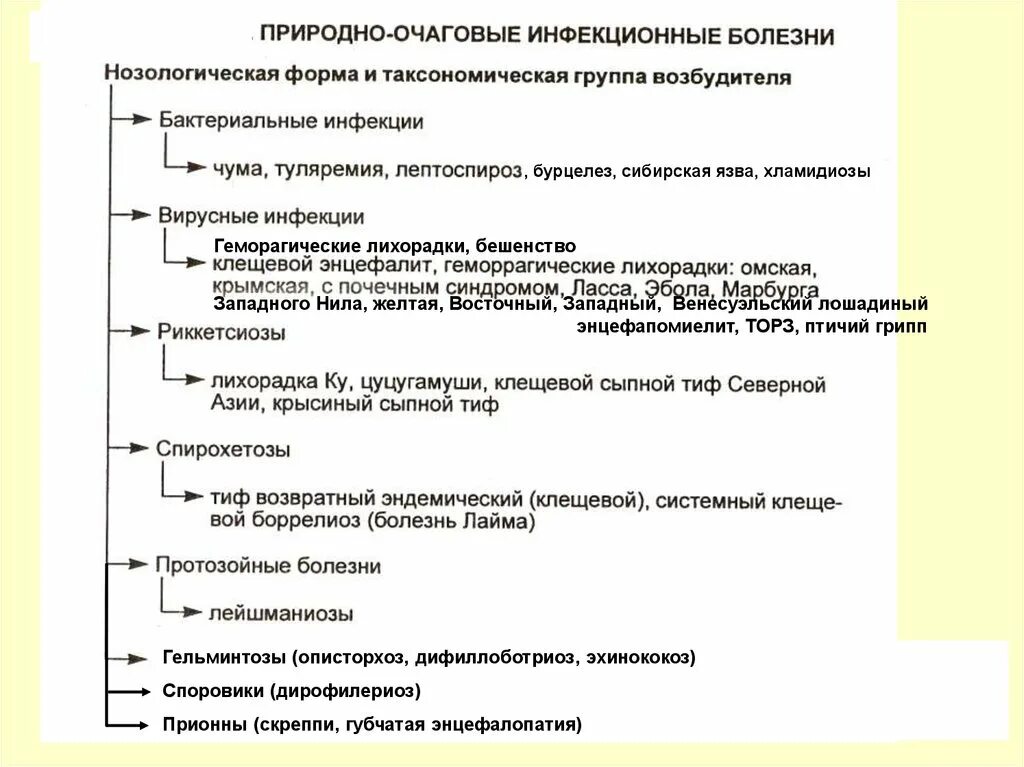 Природно очаговые трансмиссивные. Природно-очаговые болезни. Классификация природно-очаговых заболеваний. Природно-очаговые инфекции. Природно-очаговые инфекции презентация.