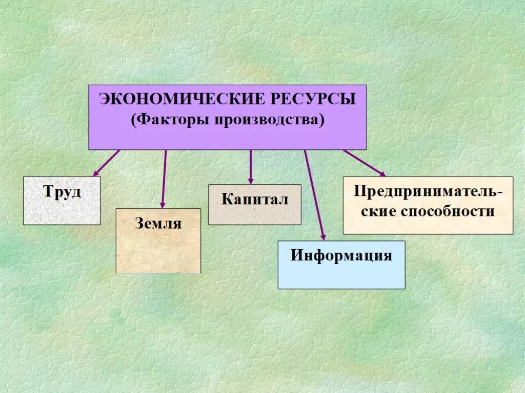 Экономические ресурсы. Ресурсы в экономике. Классификация ресурсов в экономике. Факторы производства.