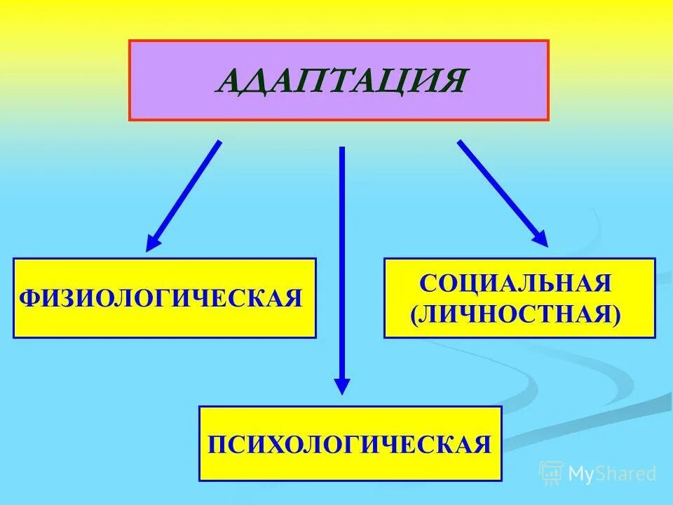 Адаптации 17. Адаптация. Адаптации физиологическая психическая социальная. Адаптация презентация. Психологическая адаптация.