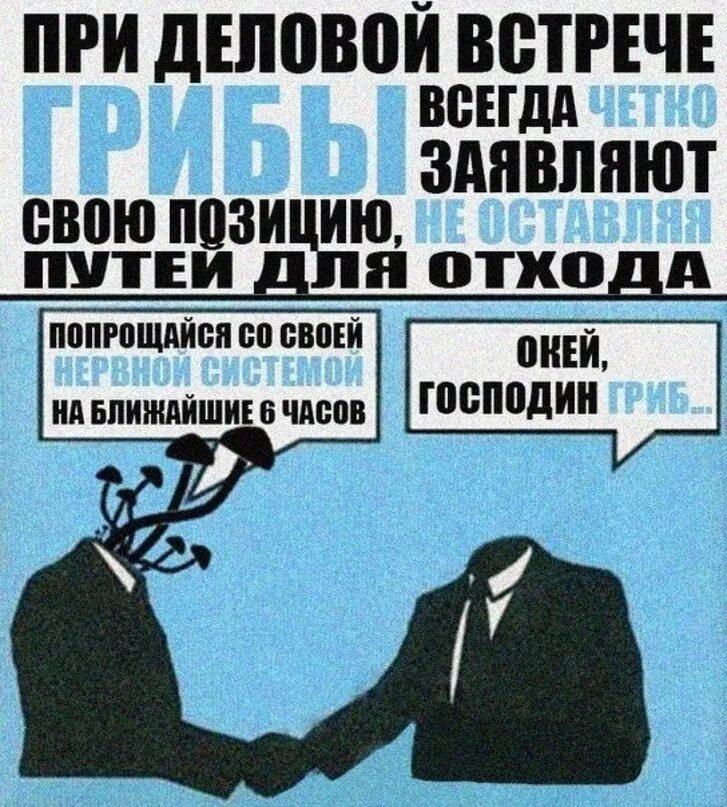 Близко господин. Господин гриб. мистер гриб. окей господин гриб. господин.